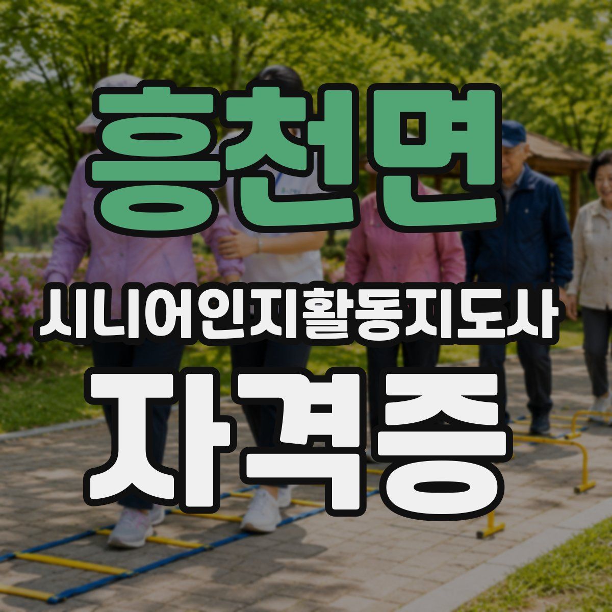 흥천면 시니어인지활동지도사 자격증