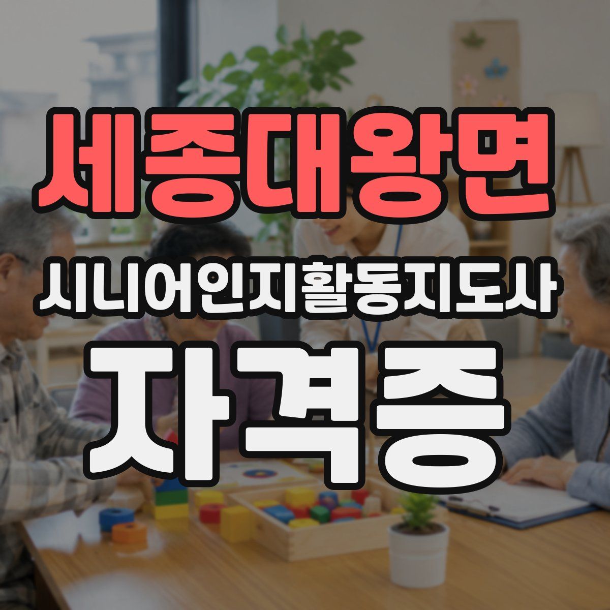 세종대왕면 시니어인지활동지도사 자격증