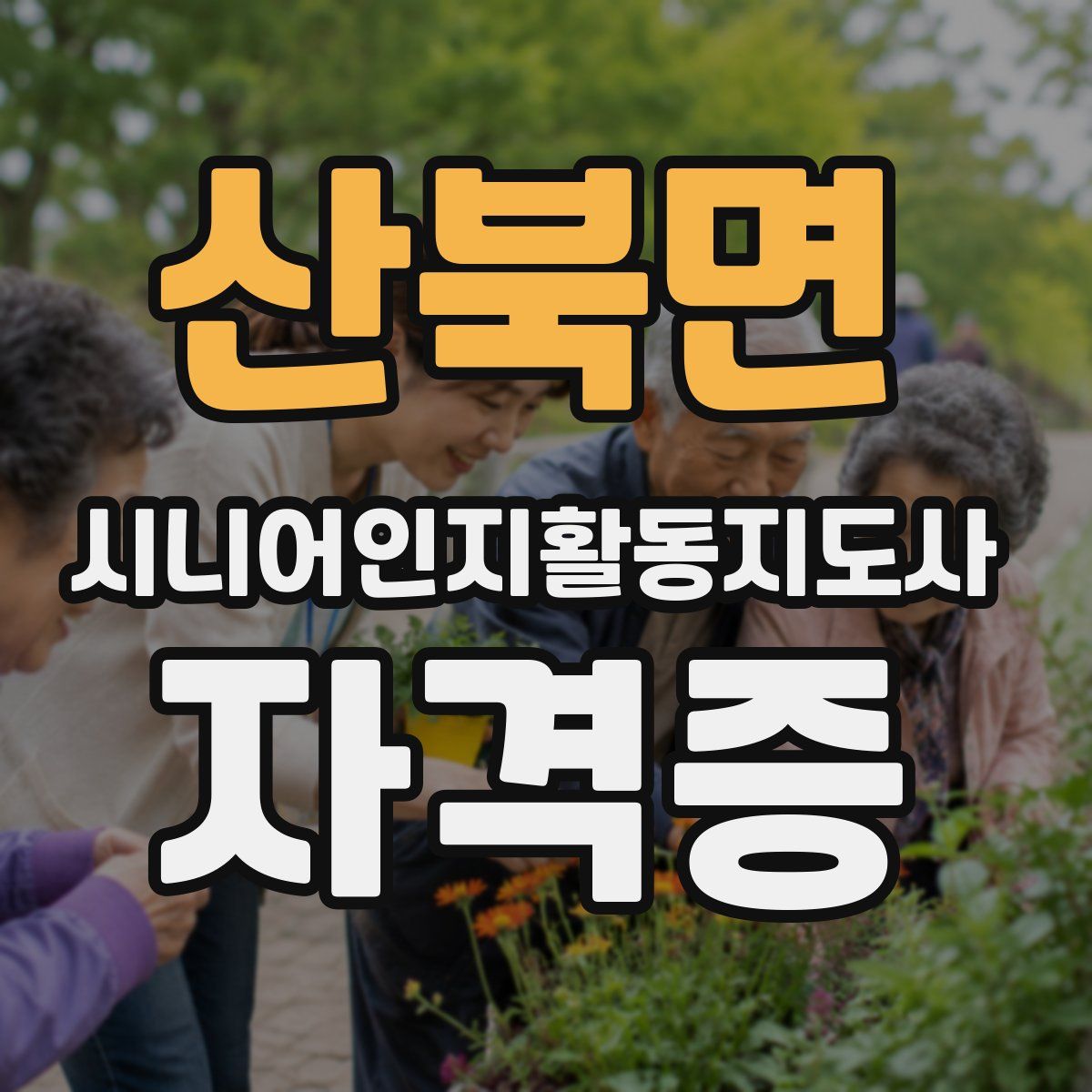 산북면 시니어인지활동지도사 자격증