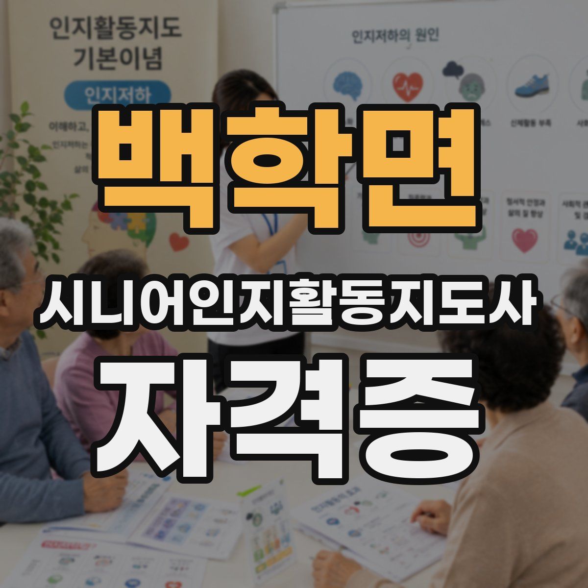 백학면 시니어인지활동지도사 자격증