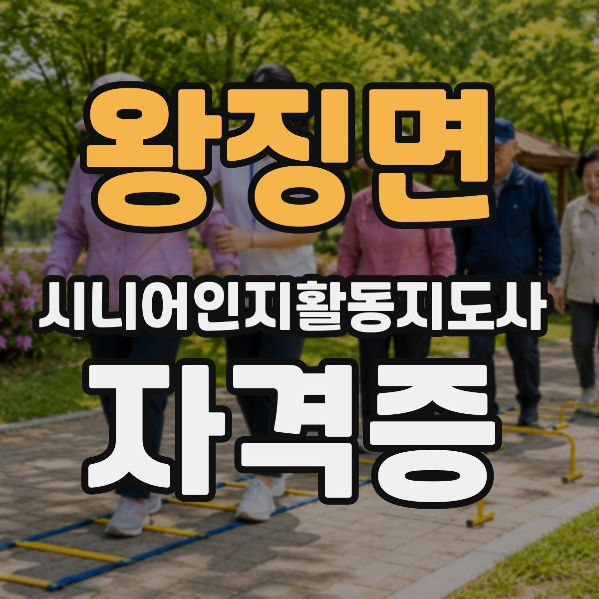 왕징면 시니어인지활동지도사 자격증