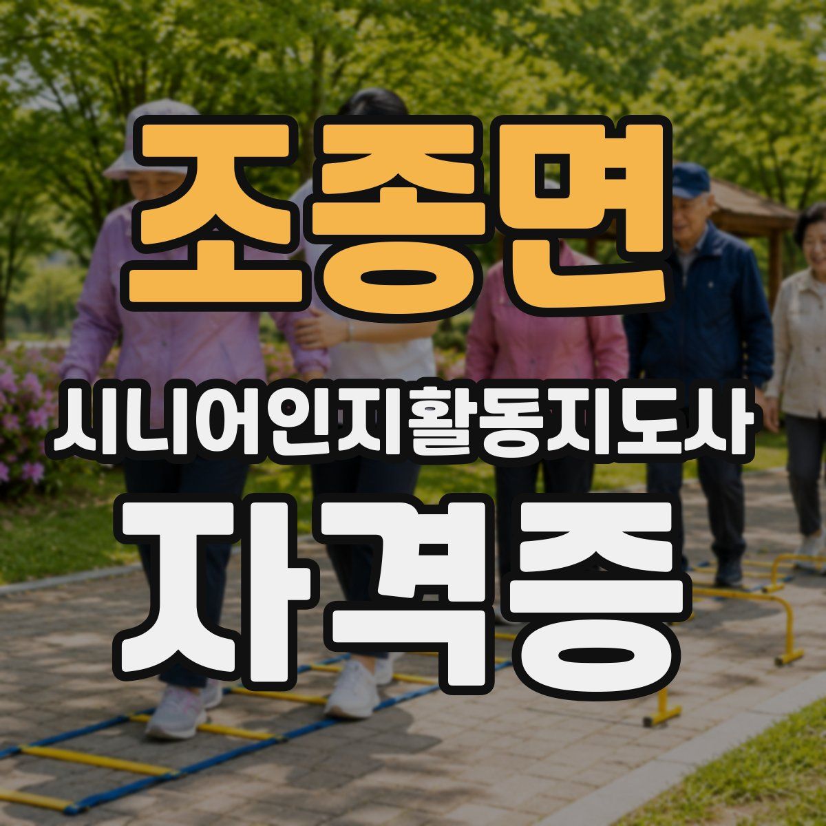 조종면 시니어인지활동지도사 자격증
