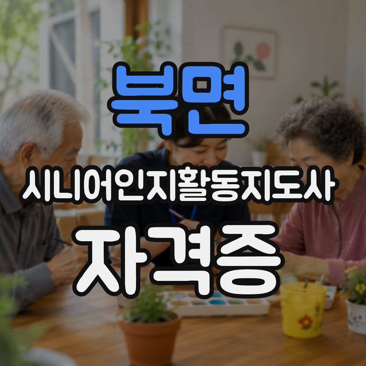 북면 시니어인지활동지도사 자격증