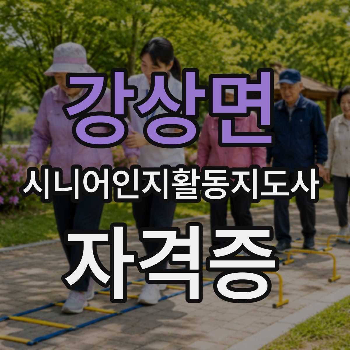 강상면 시니어인지활동지도사 자격증