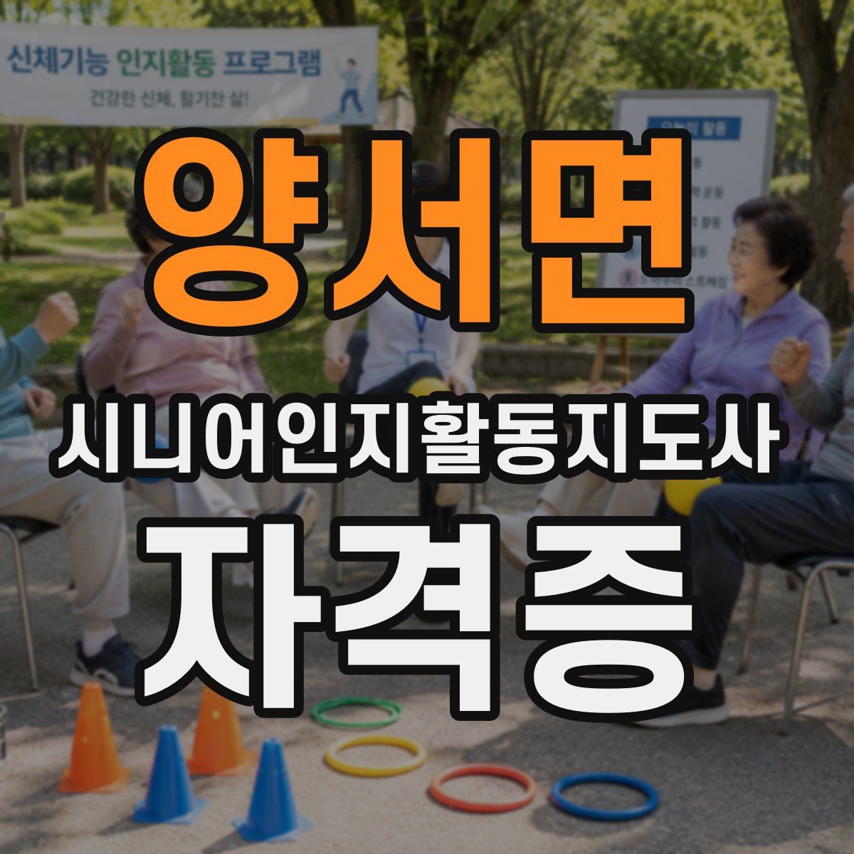 양서면 시니어인지활동지도사 자격증