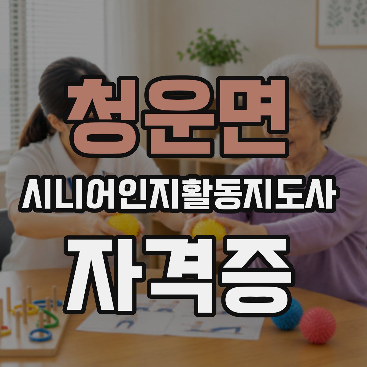 청운면 시니어인지활동지도사 자격증