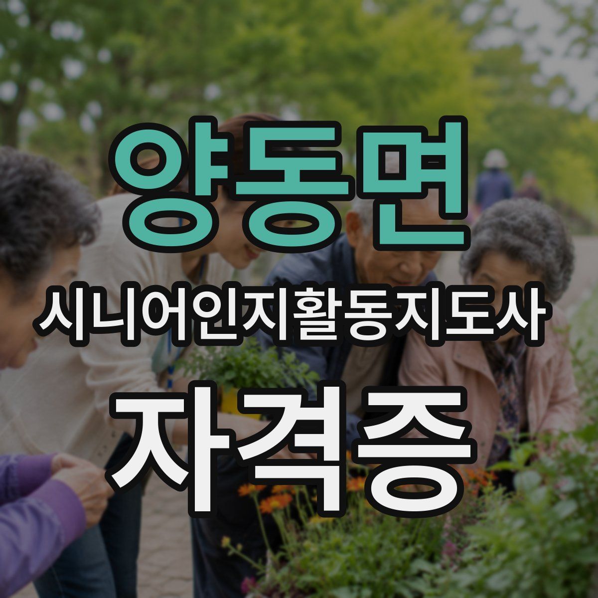 양동면 시니어인지활동지도사 자격증