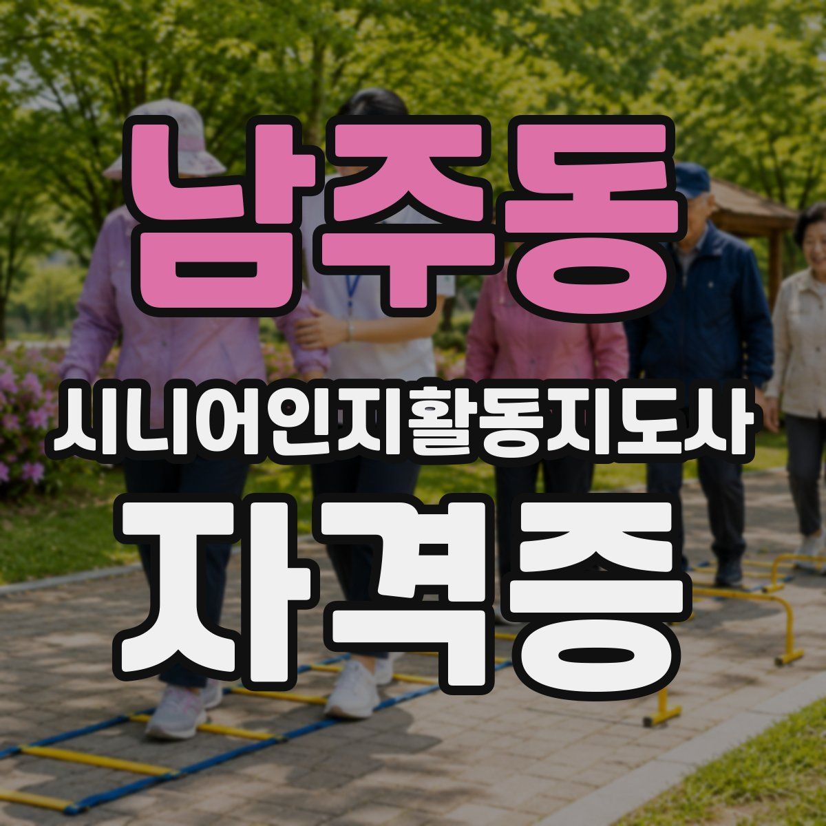 남주동 시니어인지활동지도사 자격증