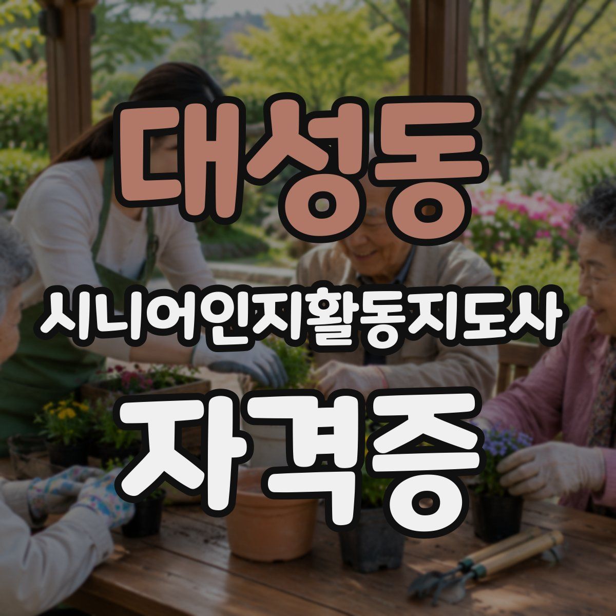 대성동 시니어인지활동지도사 자격증