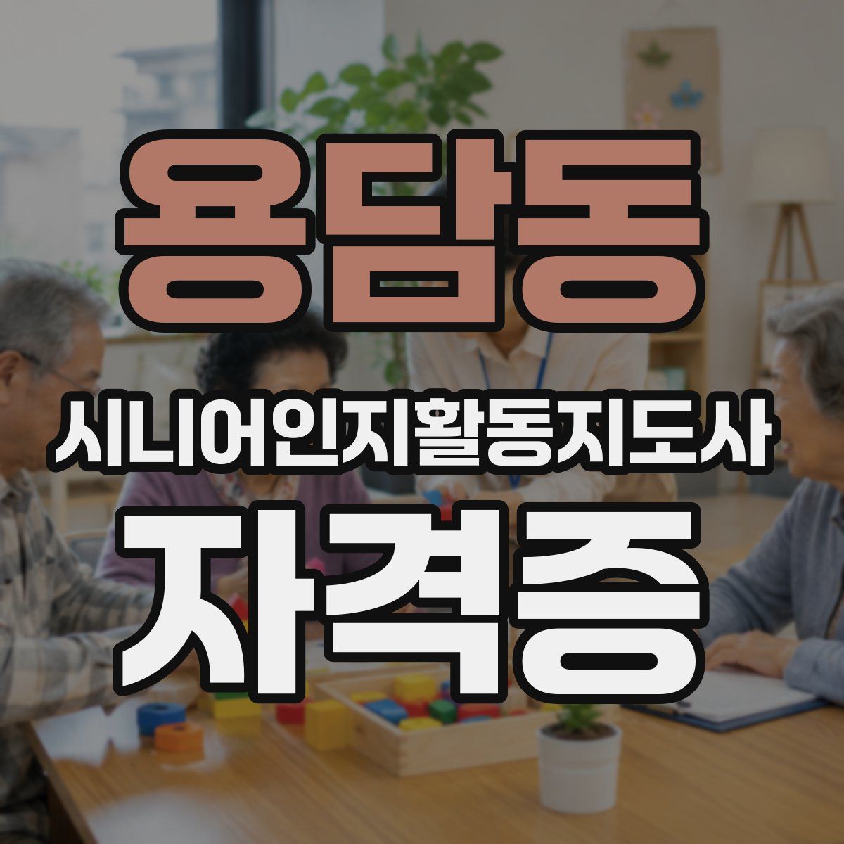 용담동 시니어인지활동지도사 자격증