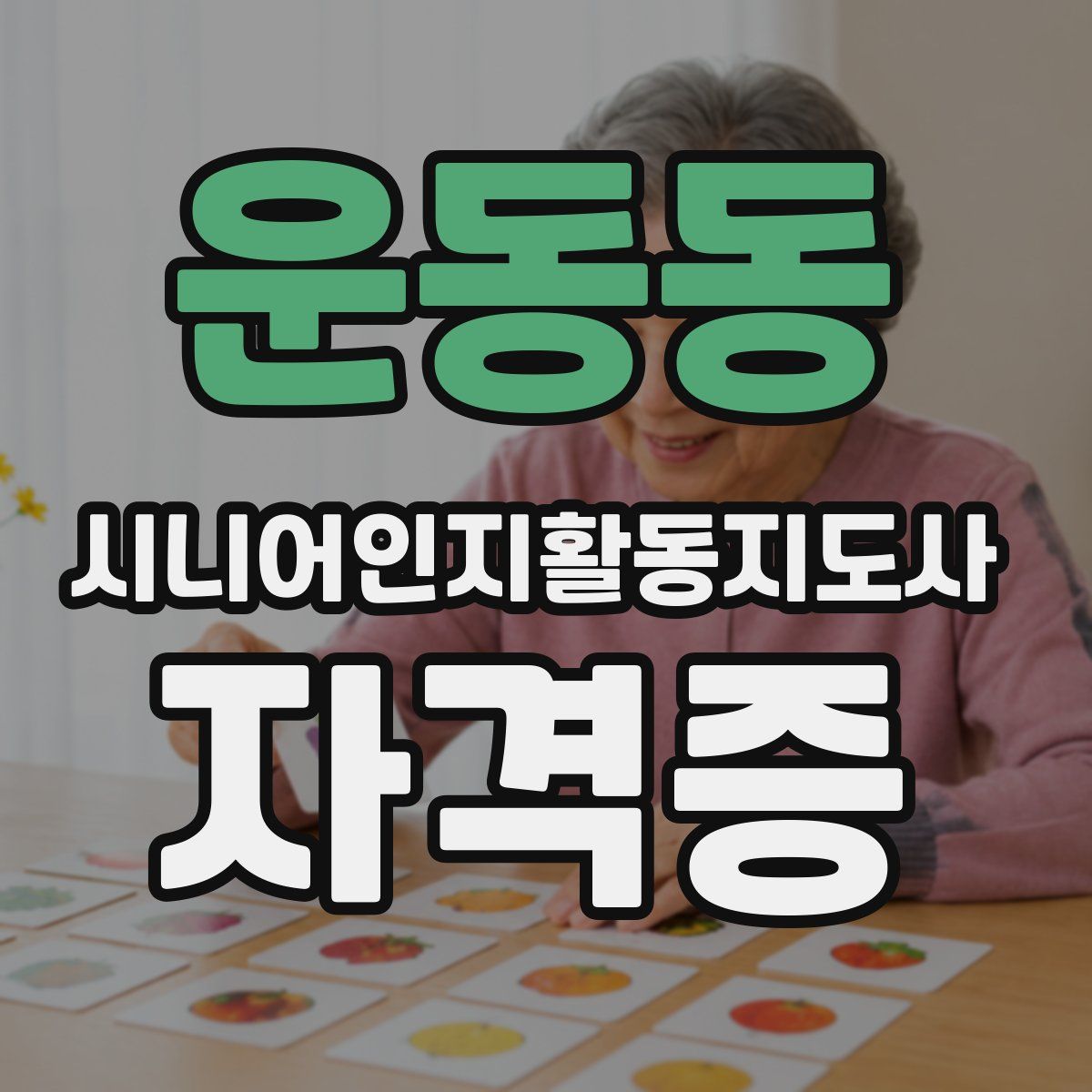 운동동 시니어인지활동지도사 자격증
