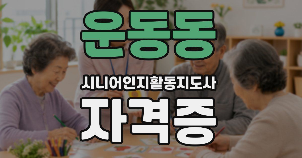 운동동 시니어인지활동지도사 자격증