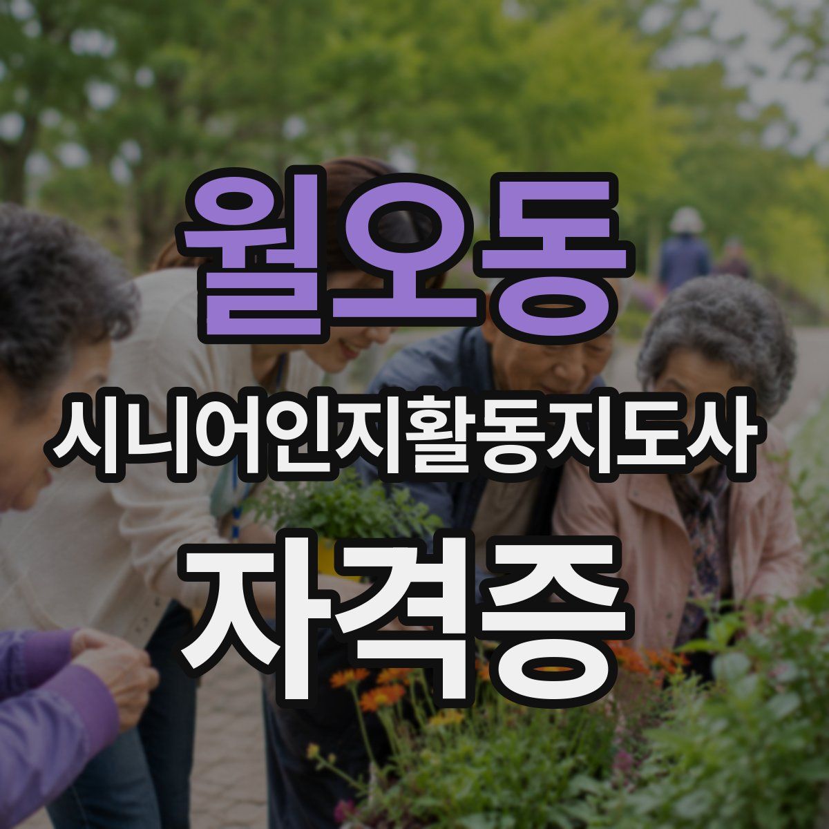 월오동 시니어인지활동지도사 자격증