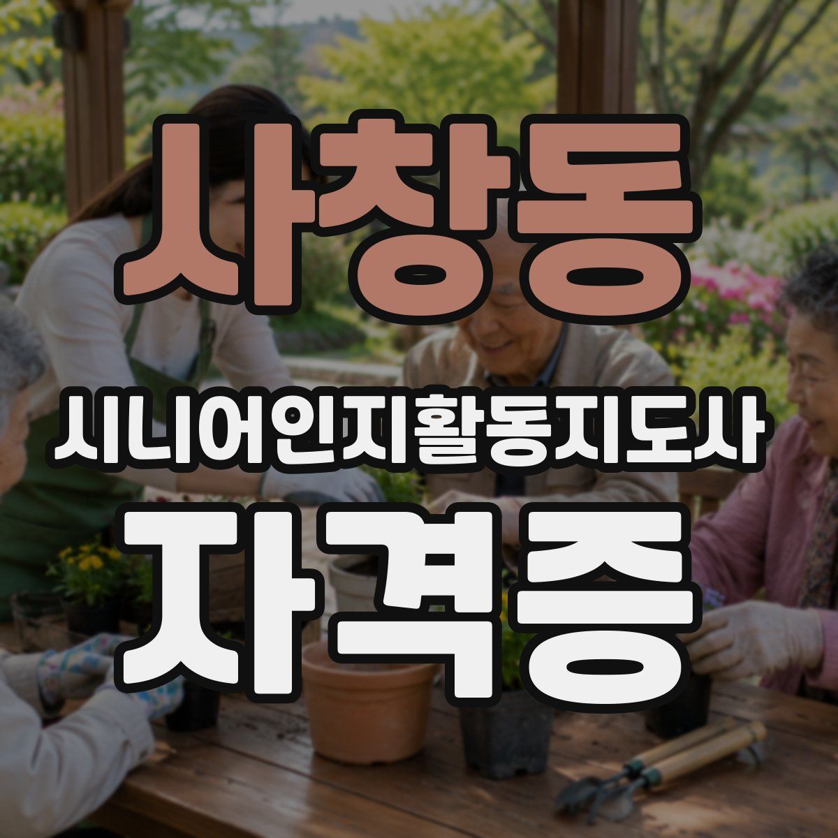 사창동 시니어인지활동지도사 자격증