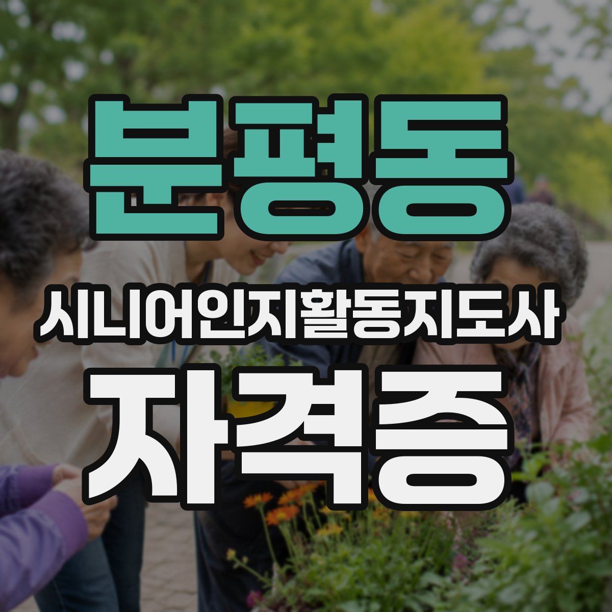 분평동 시니어인지활동지도사 자격증
