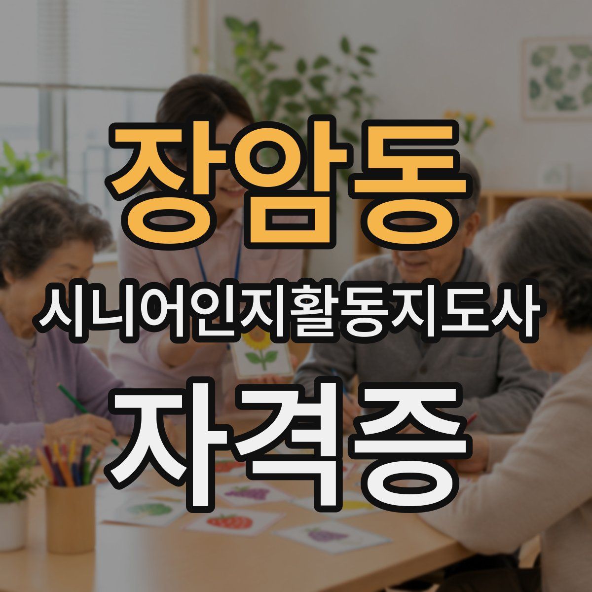 장암동 시니어인지활동지도사 자격증