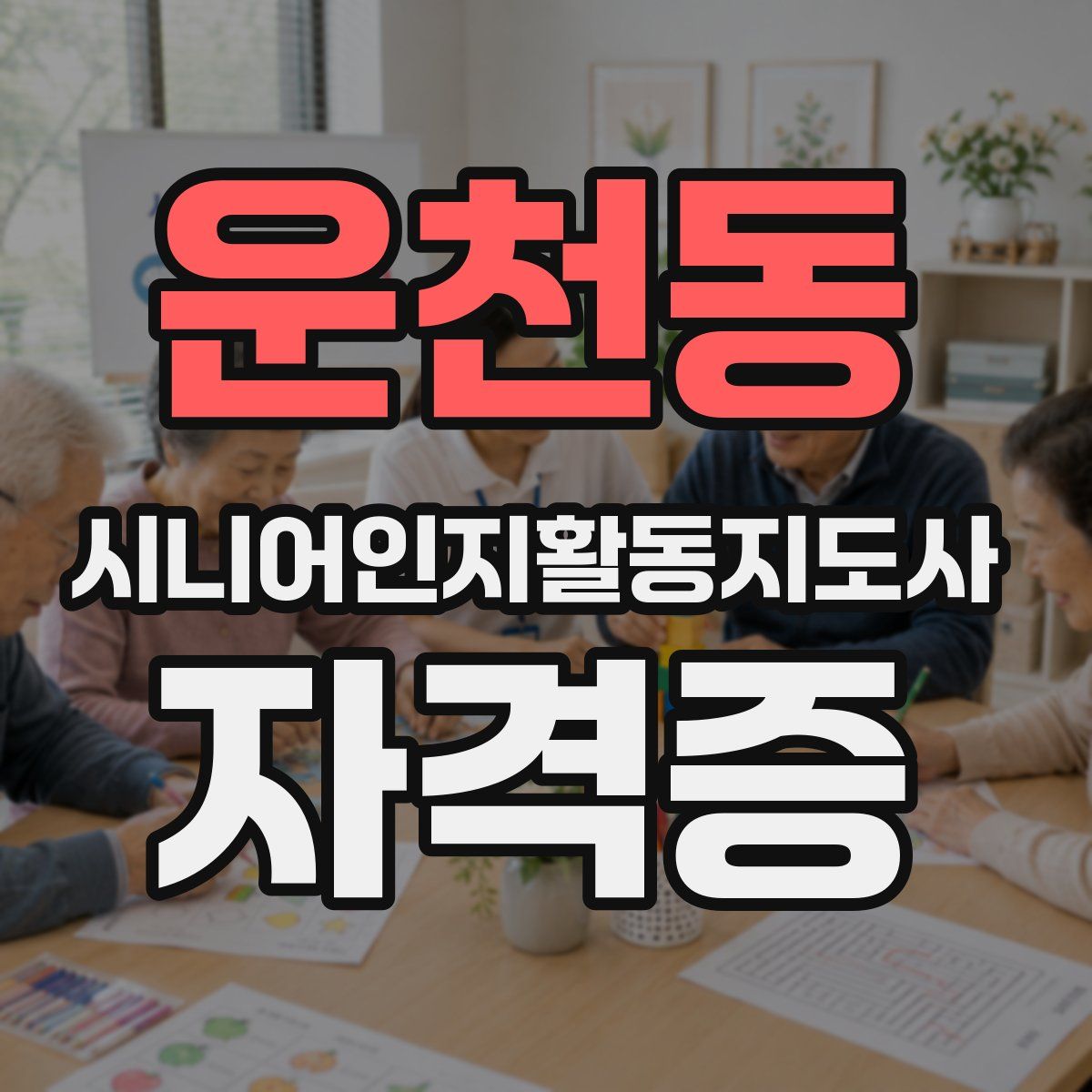 운천동 시니어인지활동지도사 자격증