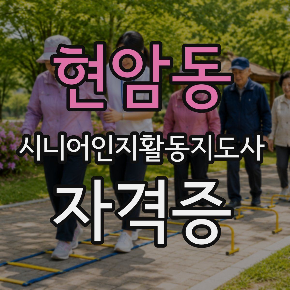 현암동 시니어인지활동지도사 자격증
