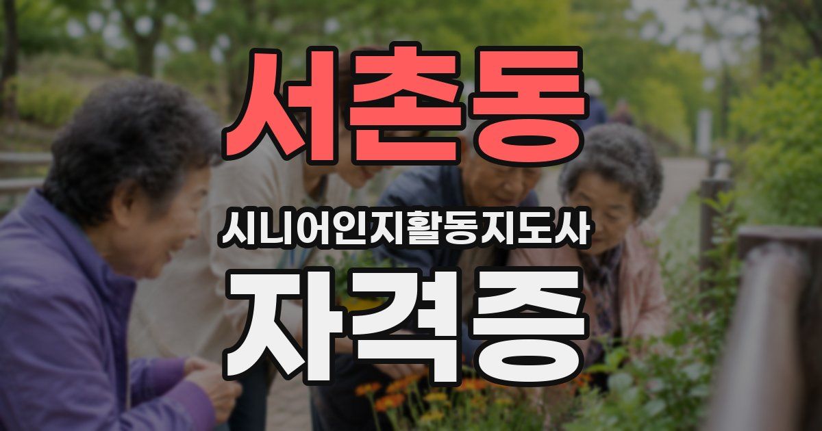 서촌동 시니어인지활동지도사 자격증