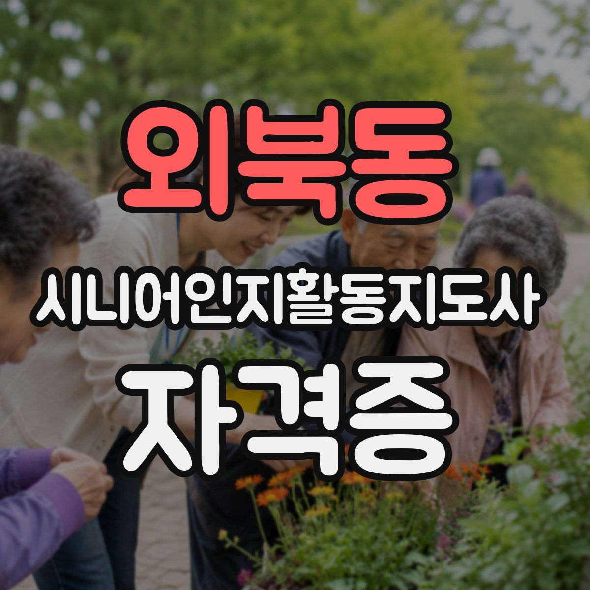 외북동 시니어인지활동지도사 자격증