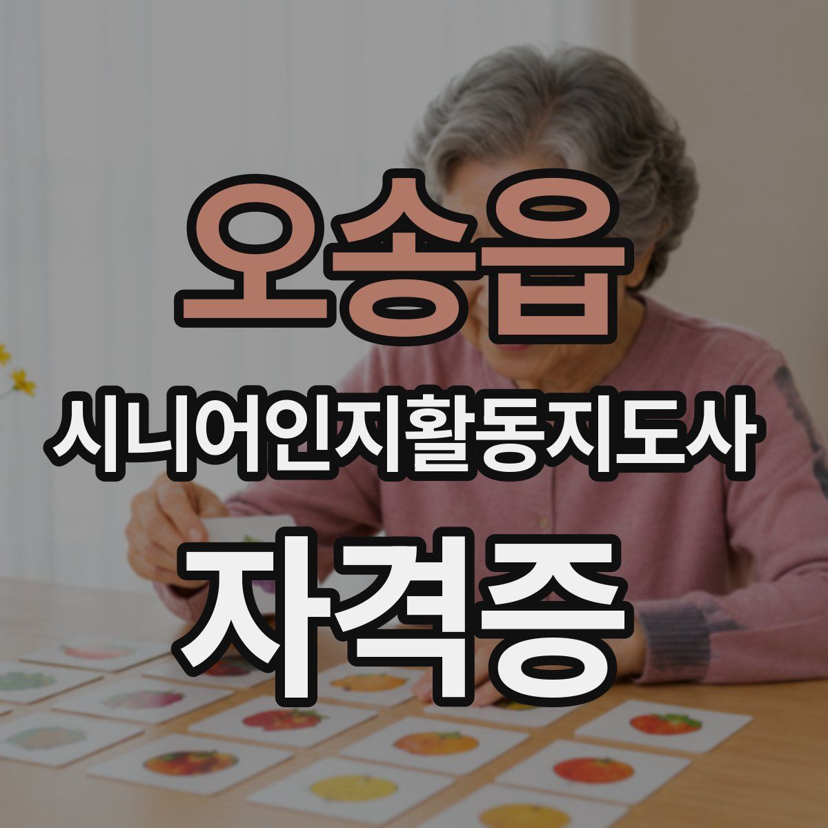 오송읍 시니어인지활동지도사 자격증