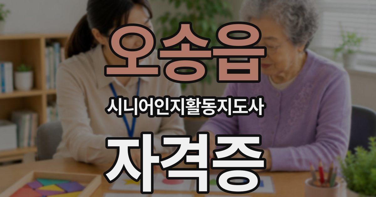 오송읍 시니어인지활동지도사 자격증