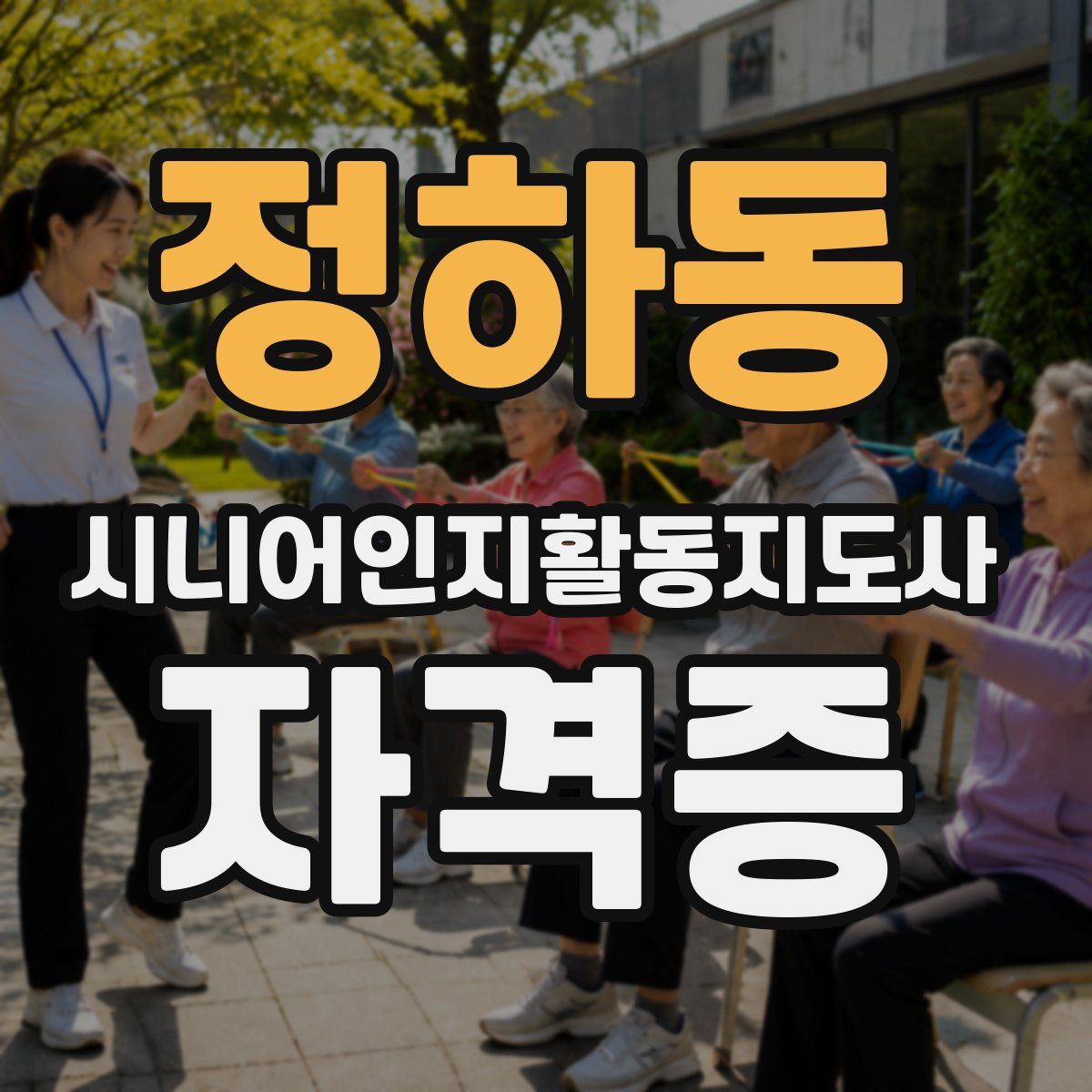 정하동 시니어인지활동지도사 자격증