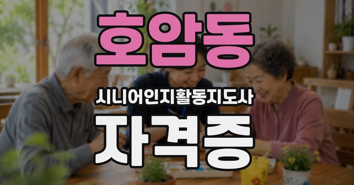 호암동 시니어인지활동지도사 자격증