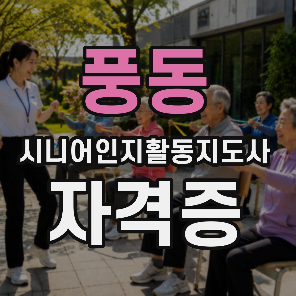 풍동 시니어인지활동지도사 자격증