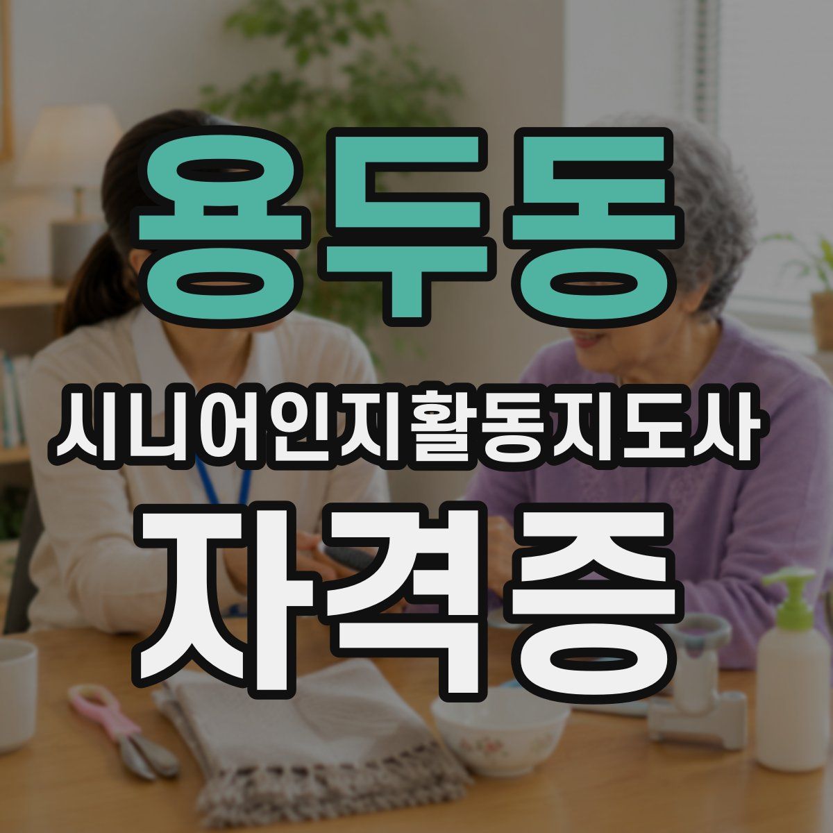 용두동 시니어인지활동지도사 자격증