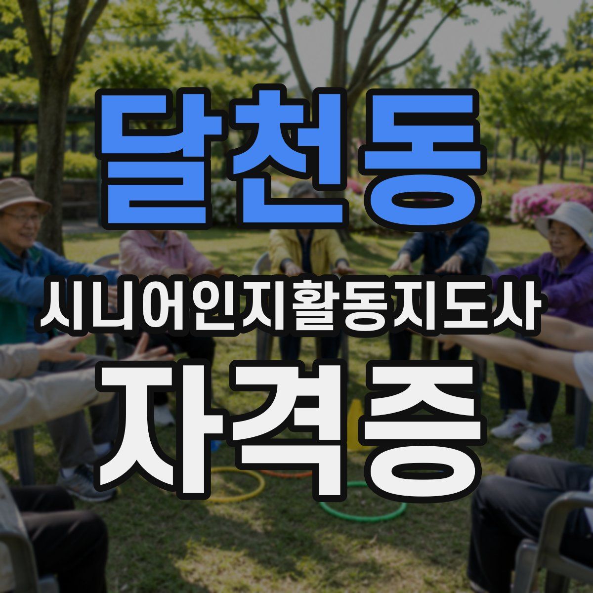 달천동 시니어인지활동지도사 자격증