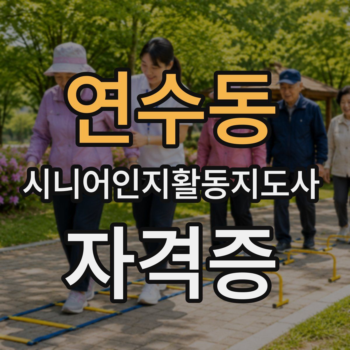 연수동 시니어인지활동지도사 자격증
