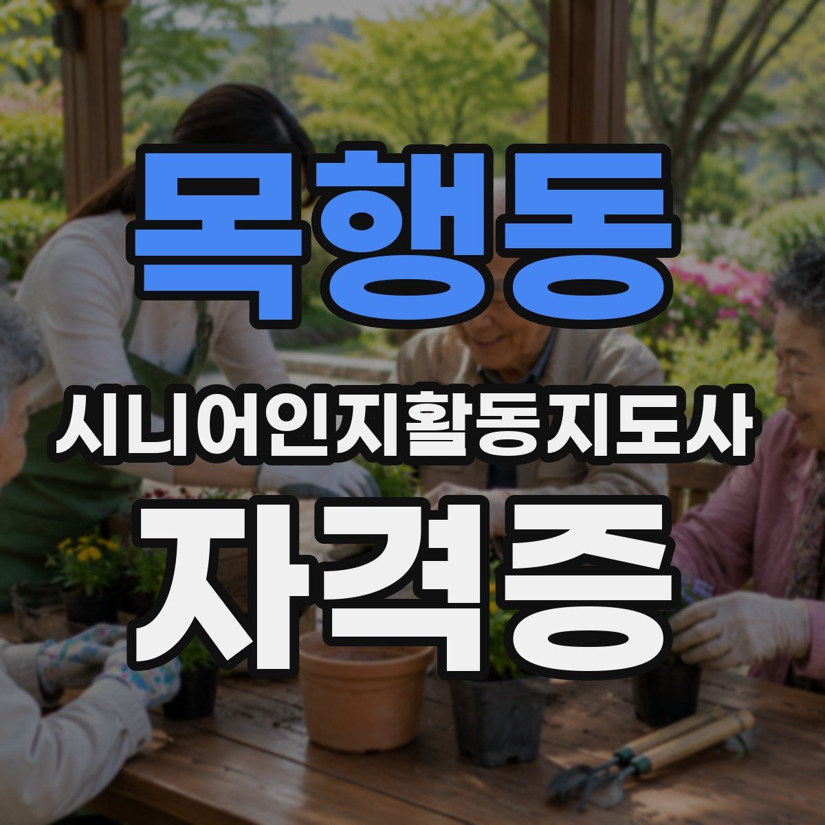 목행동 시니어인지활동지도사 자격증
