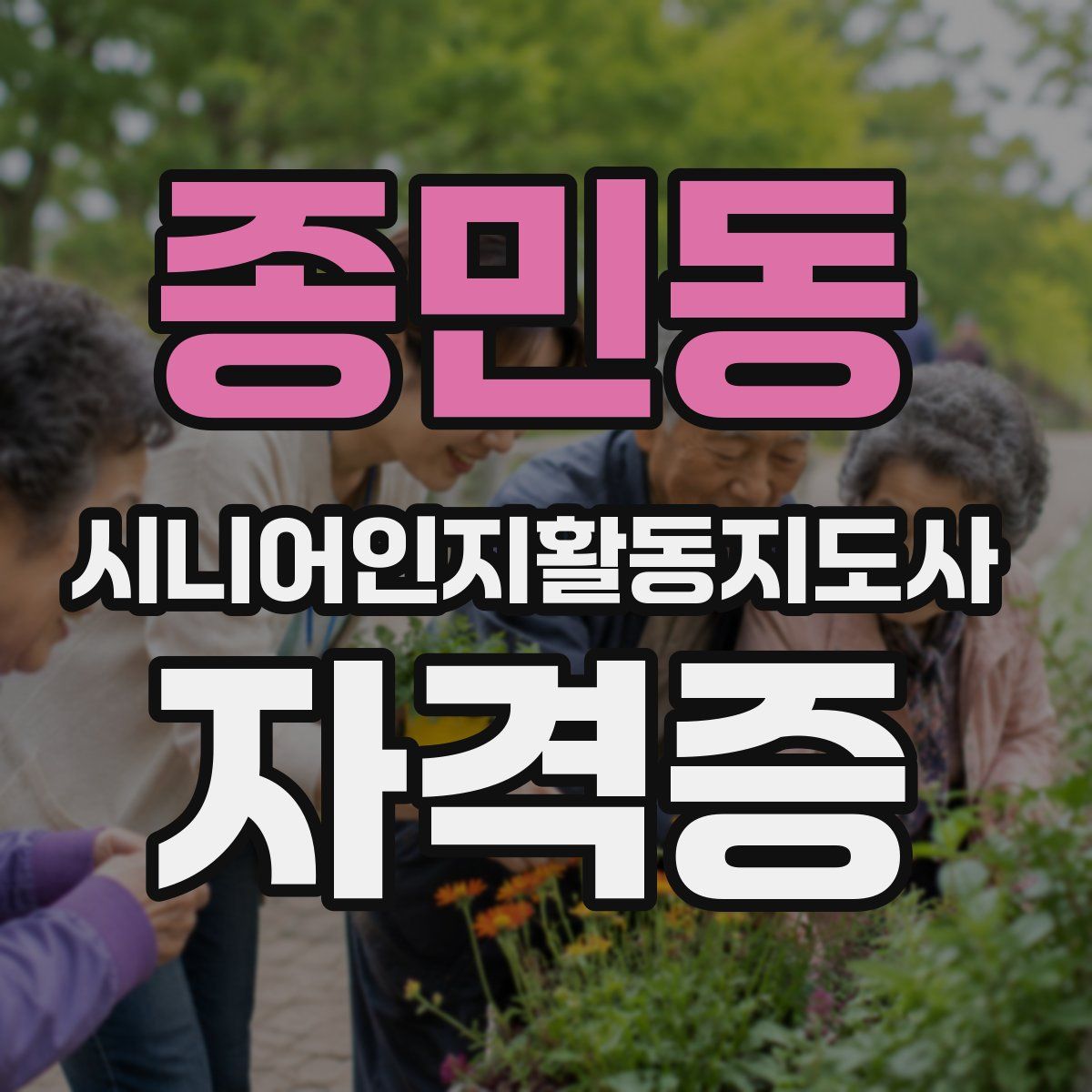 종민동 시니어인지활동지도사 자격증
