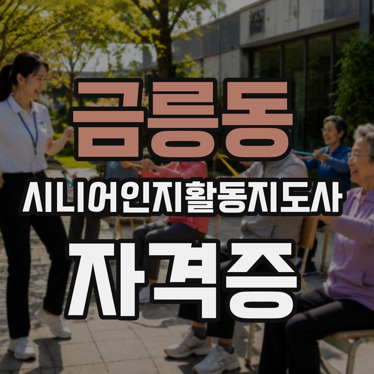 금릉동 시니어인지활동지도사 자격증