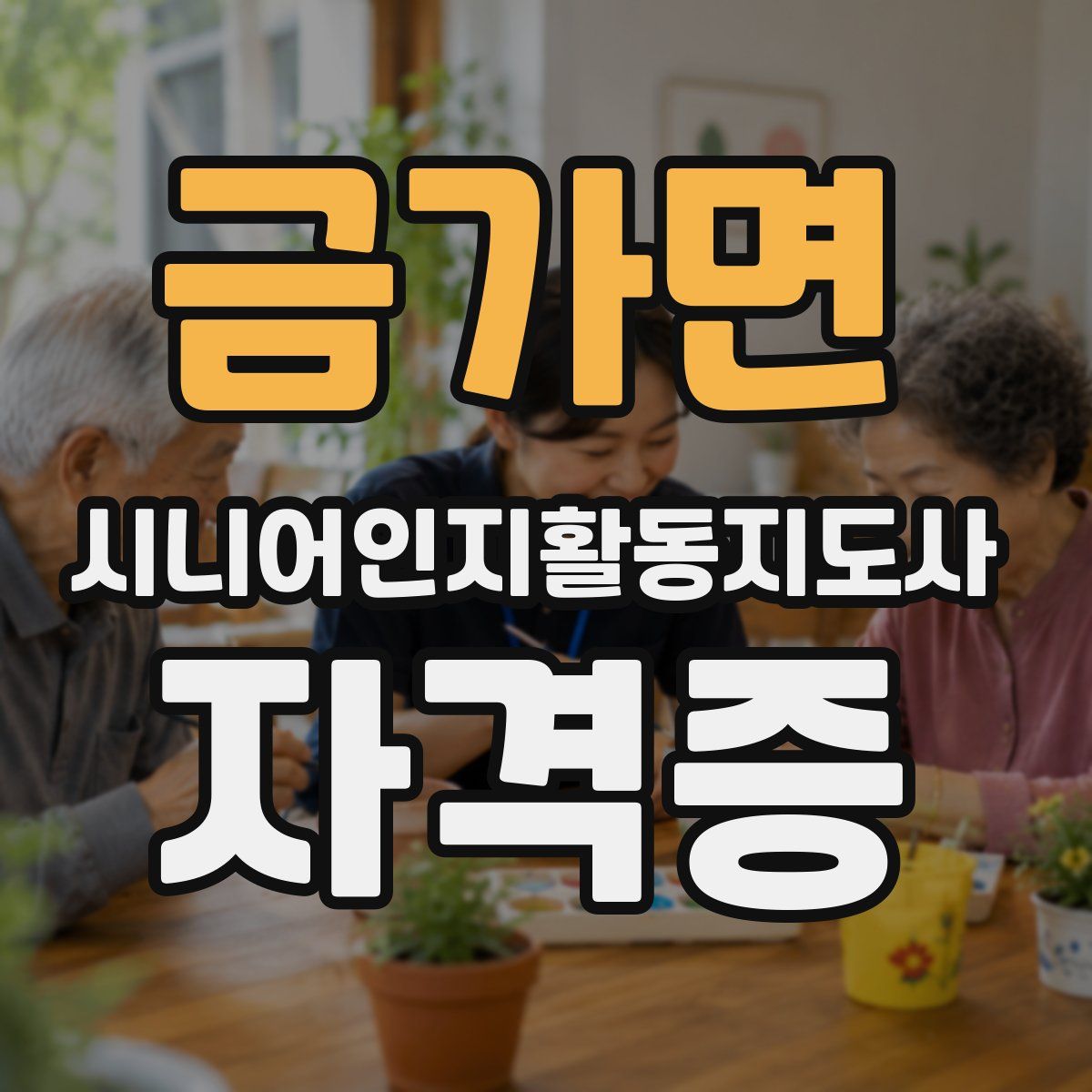 금가면 시니어인지활동지도사 자격증