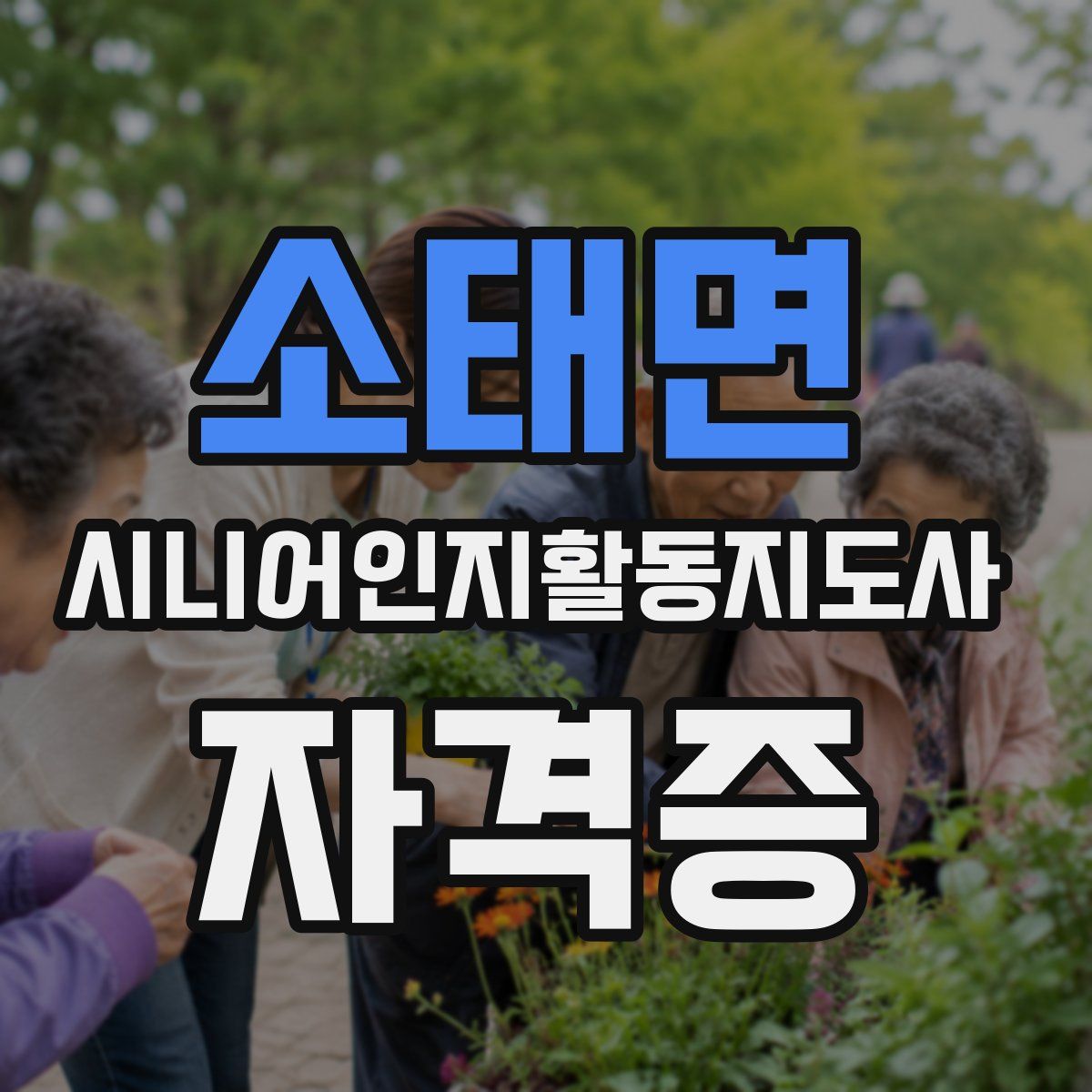 소태면 시니어인지활동지도사 자격증