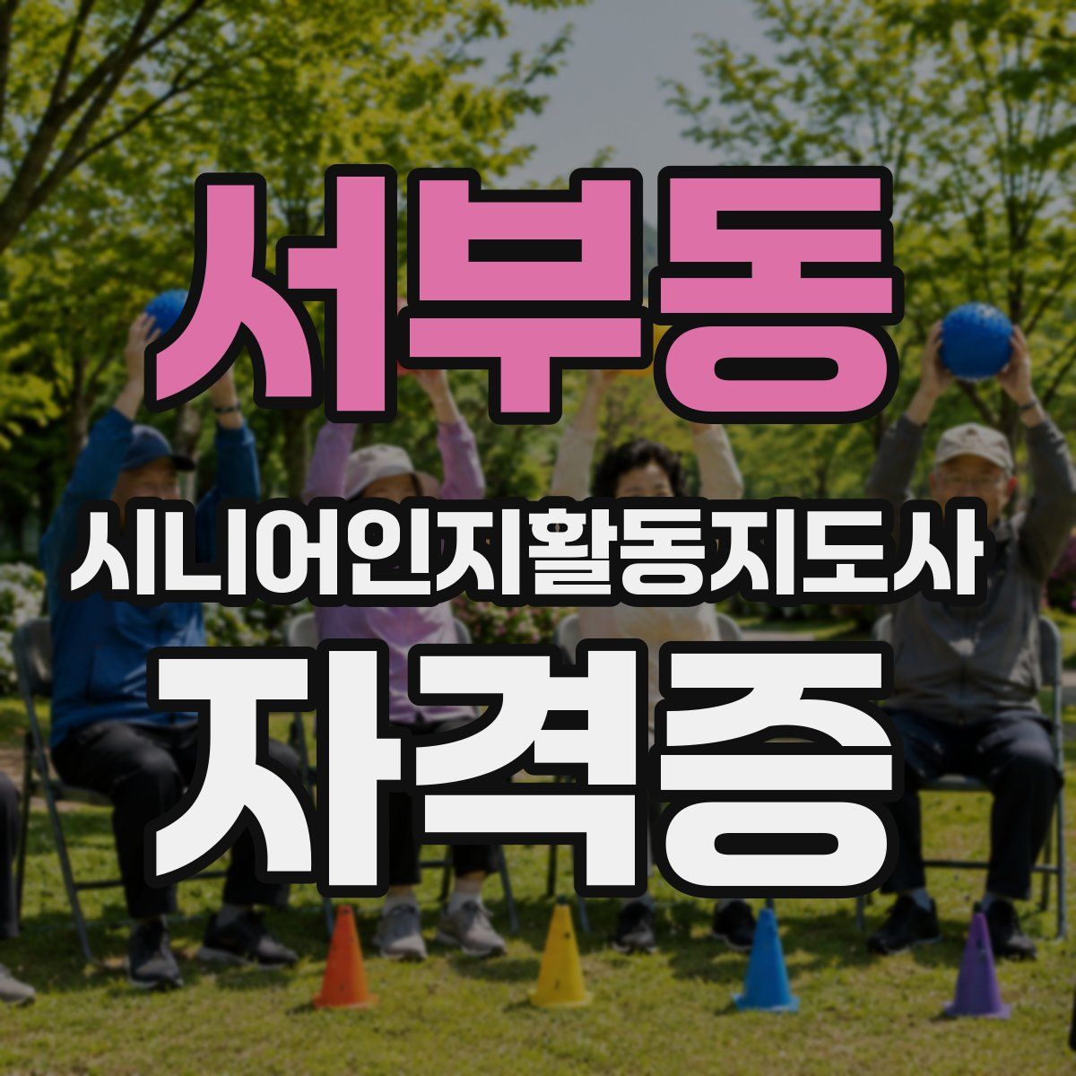 서부동 시니어인지활동지도사 자격증