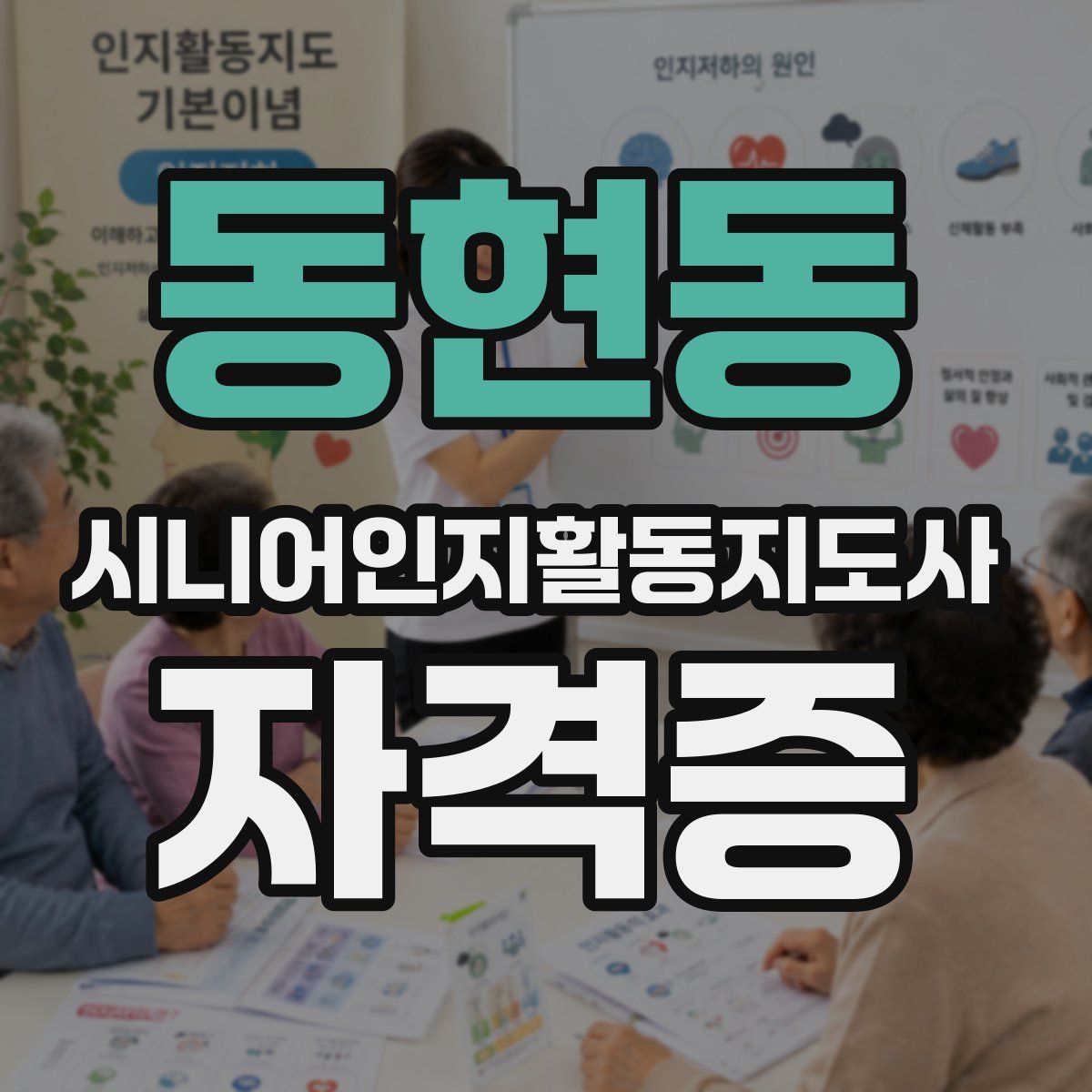 동현동 시니어인지활동지도사 자격증