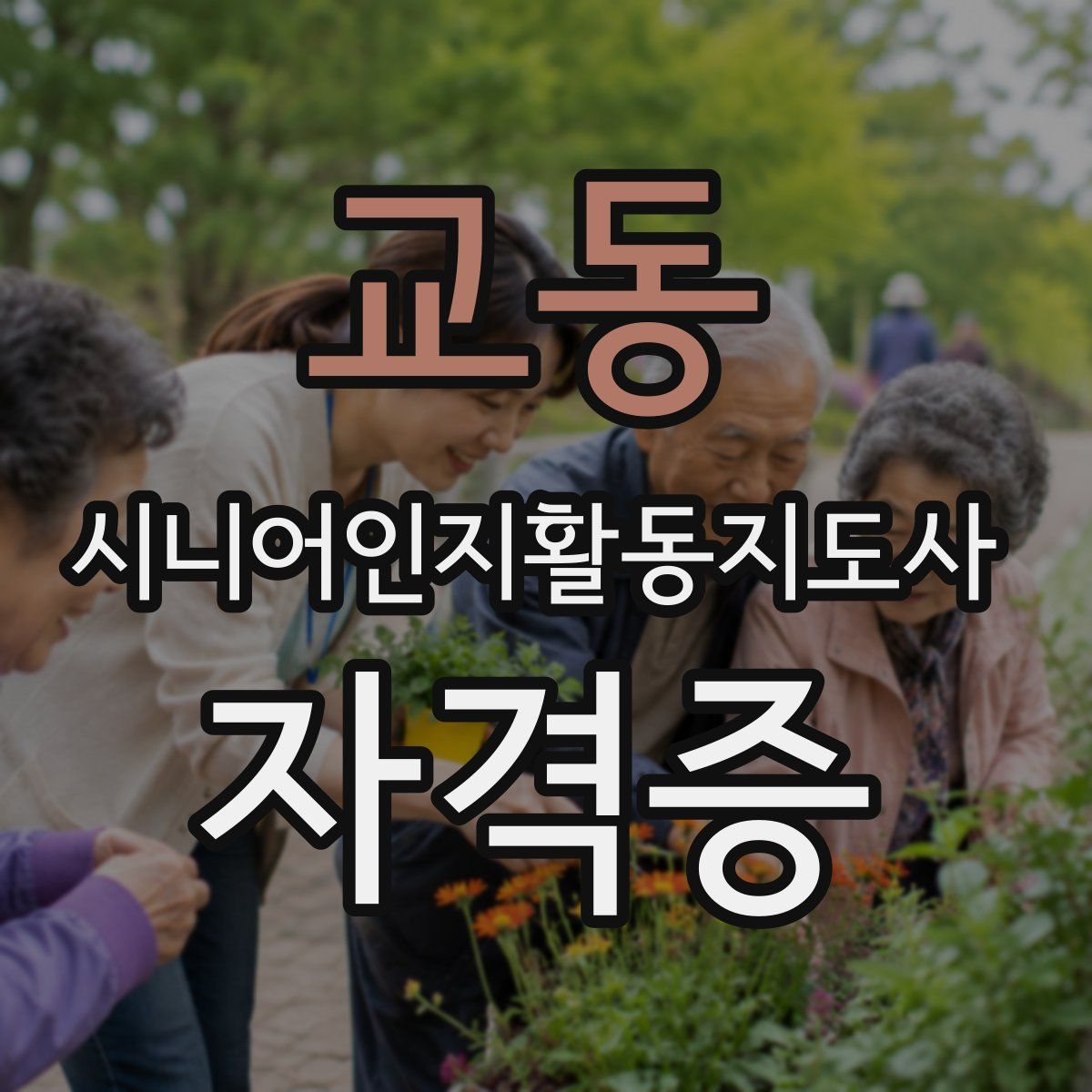 교동 시니어인지활동지도사 자격증