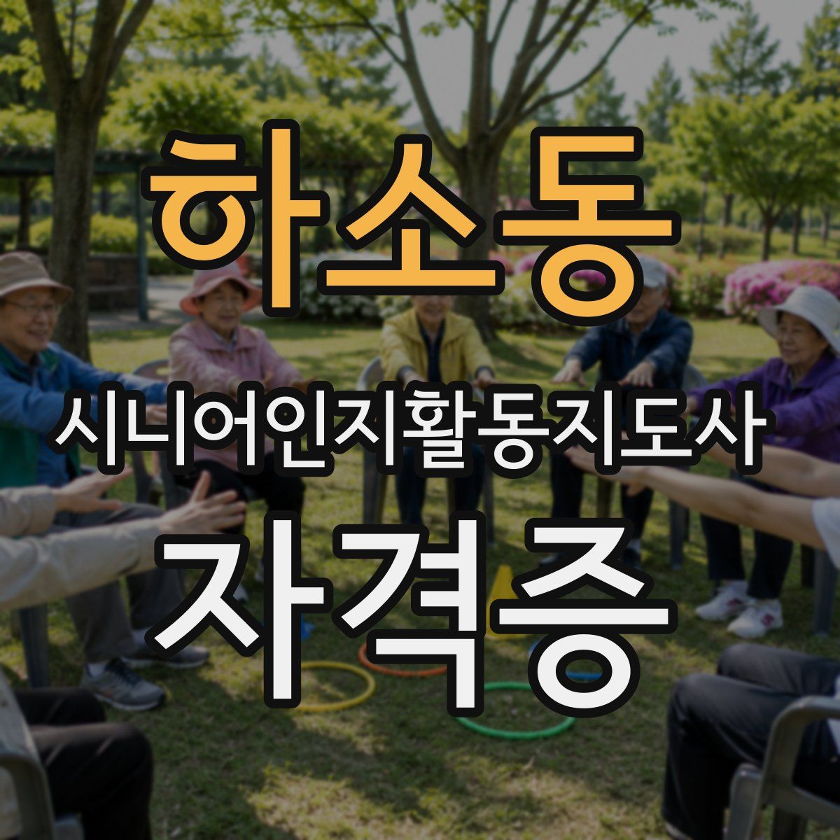 하소동 시니어인지활동지도사 자격증