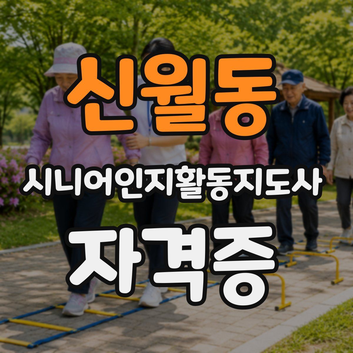 신월동 시니어인지활동지도사 자격증