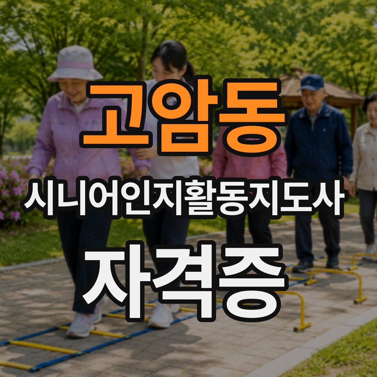 고암동 시니어인지활동지도사 자격증