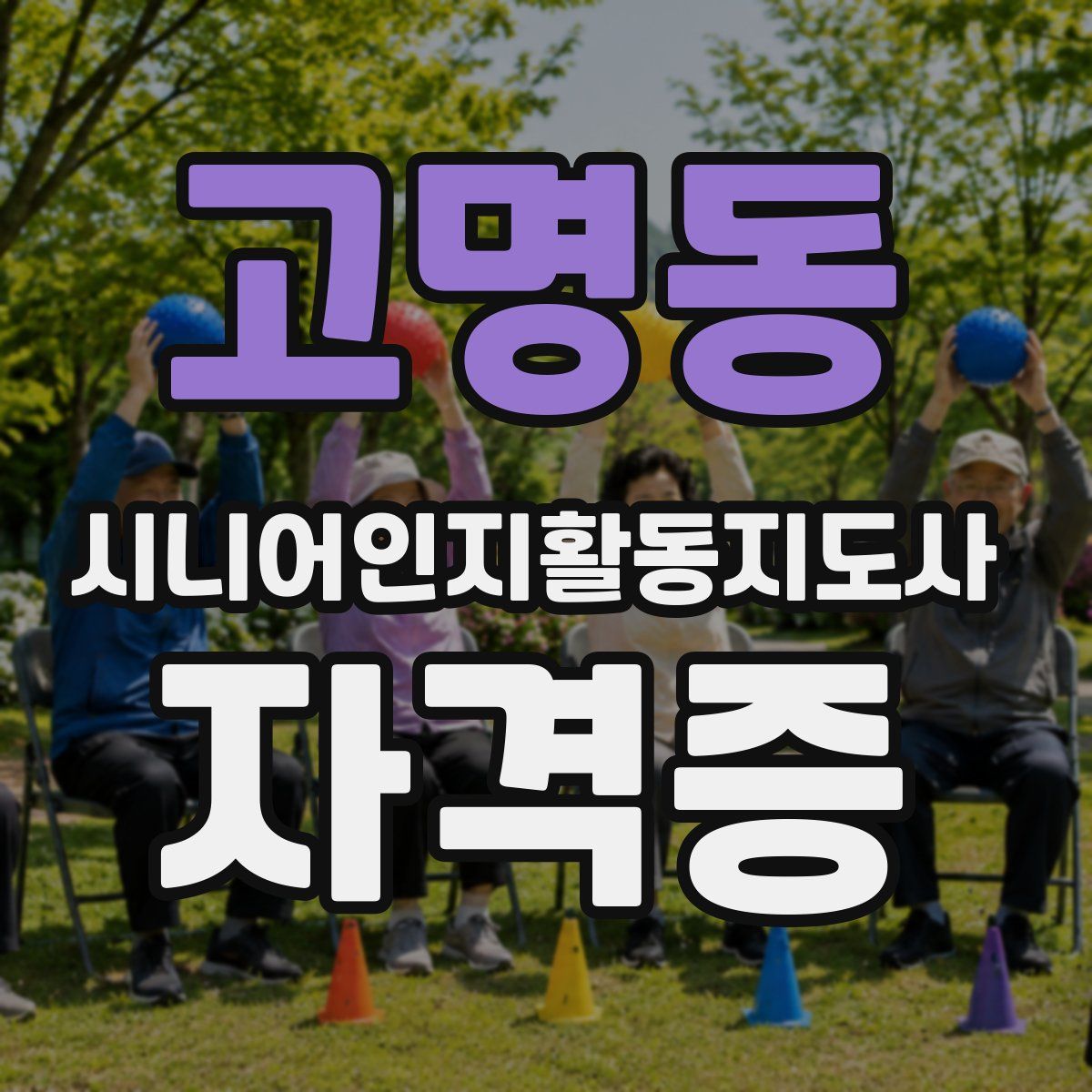 고명동 시니어인지활동지도사 자격증