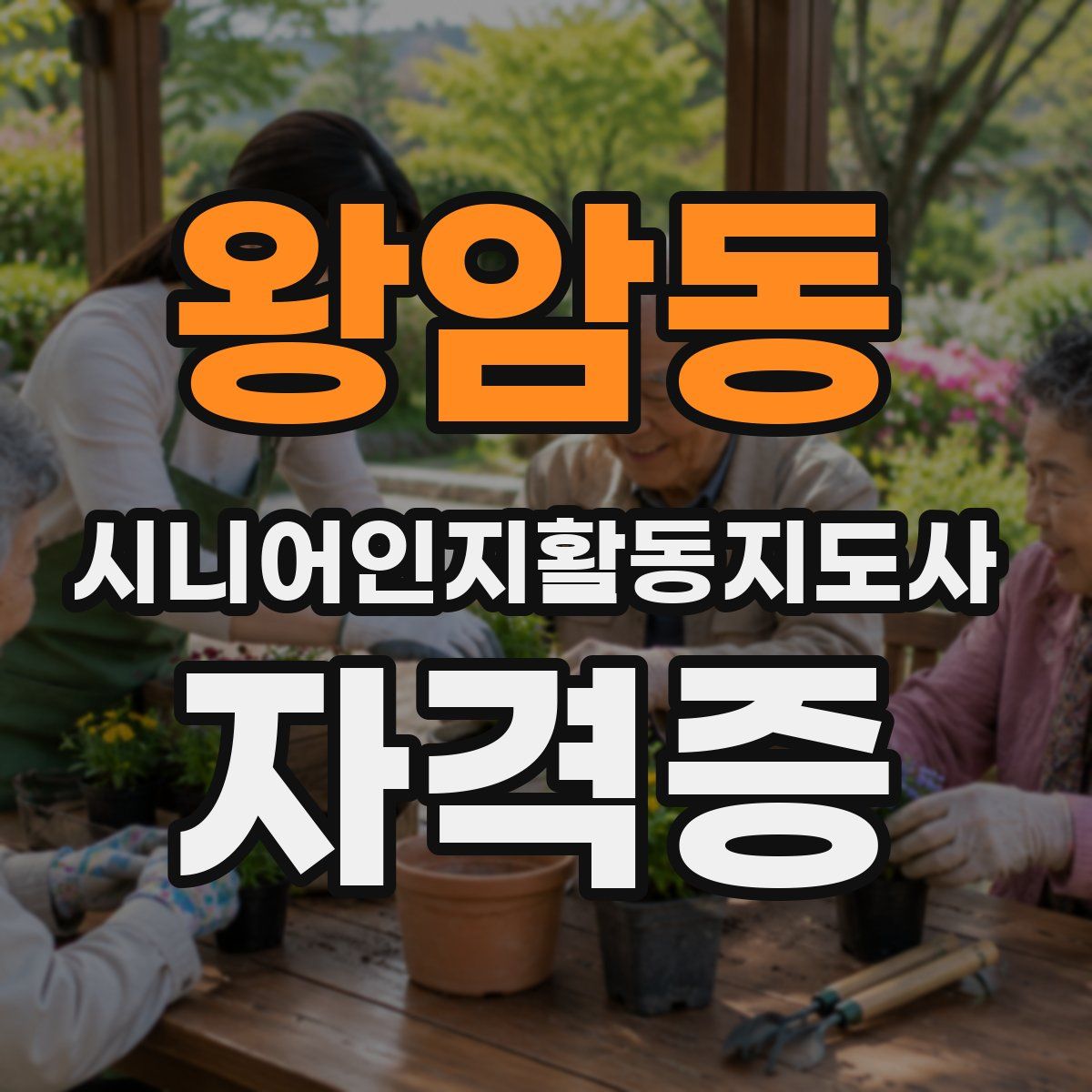 왕암동 시니어인지활동지도사 자격증