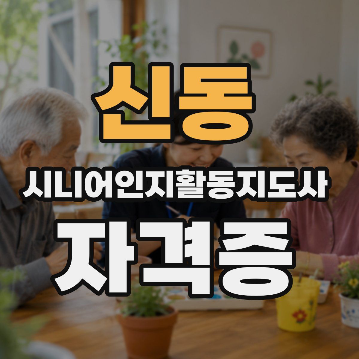 신동 시니어인지활동지도사 자격증