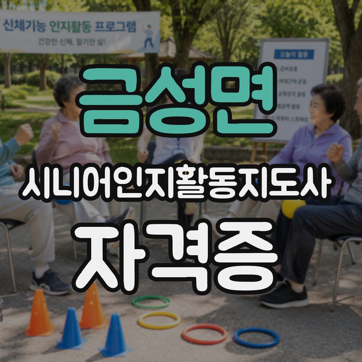 금성면 시니어인지활동지도사 자격증