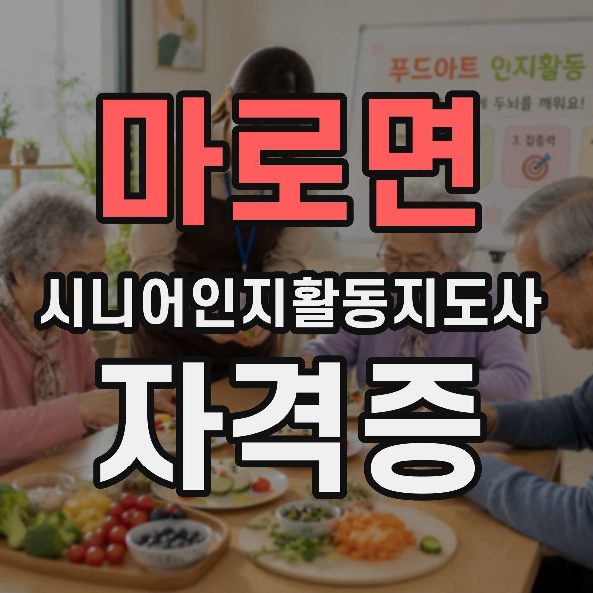 마로면 시니어인지활동지도사 자격증