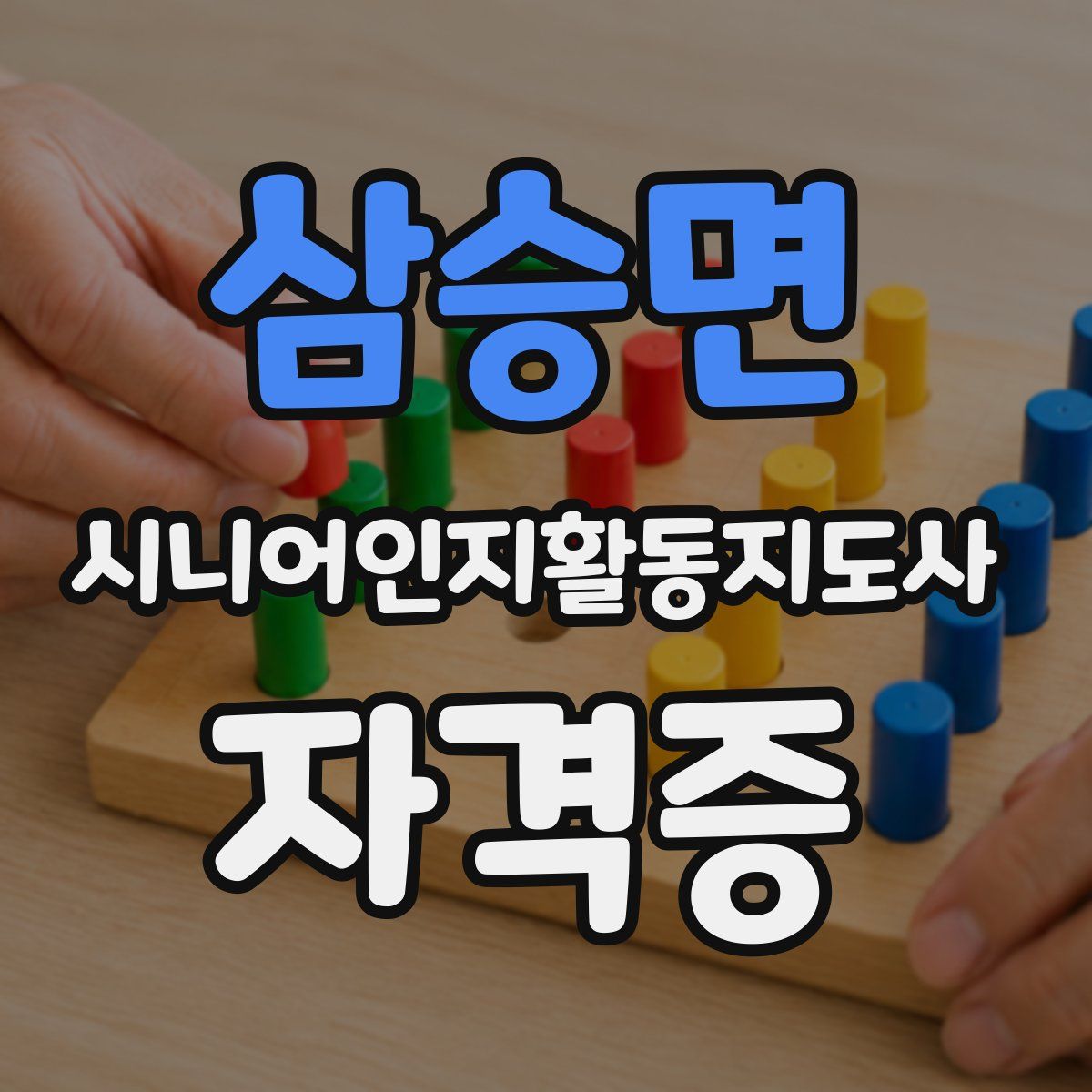 삼승면 시니어인지활동지도사 자격증