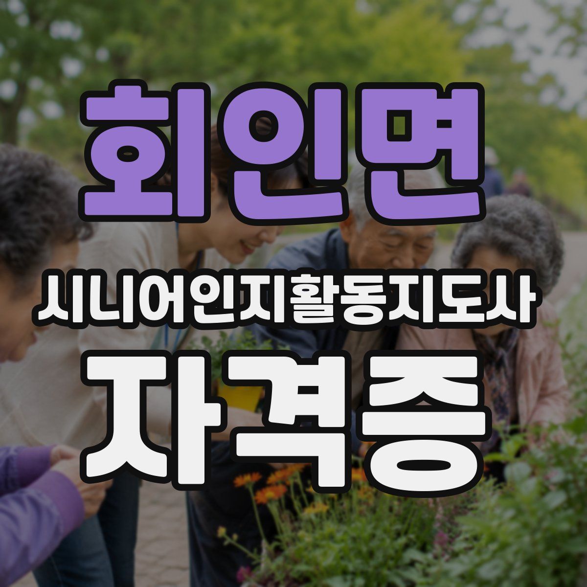 회인면 시니어인지활동지도사 자격증